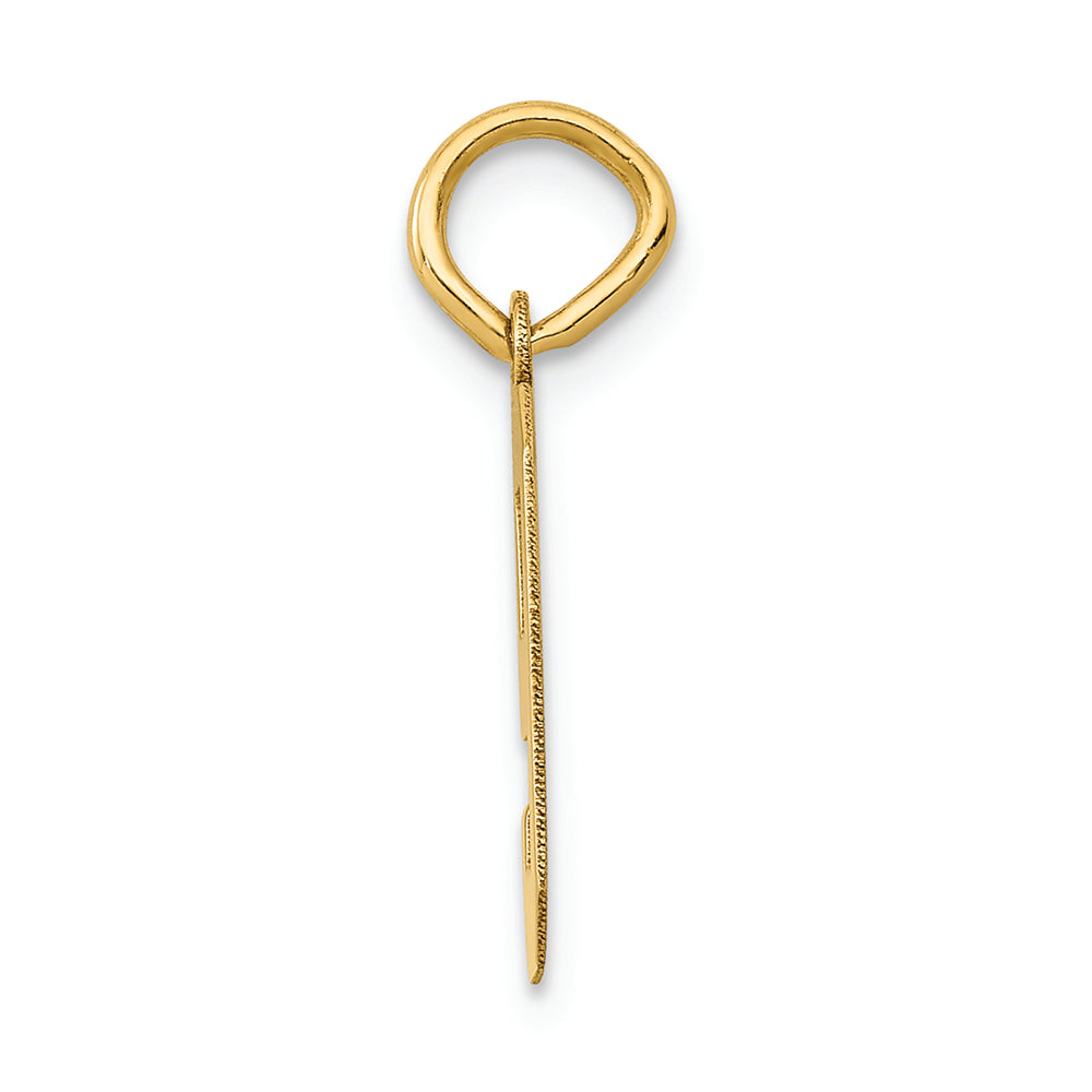 FJC Finejewelers 14k Yellow Gold Small Polished Number 9 Charm