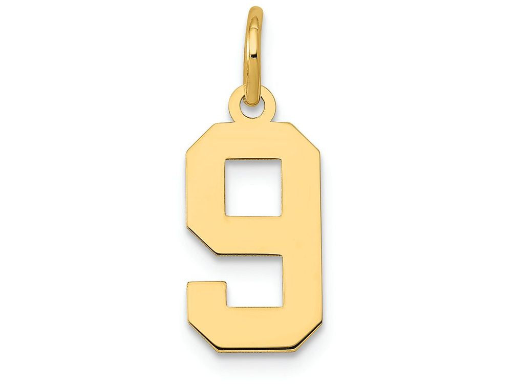 FJC Finejewelers 14k Yellow Gold Small Polished Number 9 Charm
