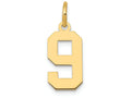 FJC Finejewelers 14k Yellow Gold Small Polished Number 9 Charm