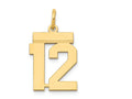 FJC Finejewelers 14k Yellow Gold Small Polished Number 12 Charm