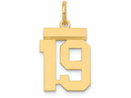 FJC Finejewelers 14k Yellow Gold Small Polished Number 19 Charm