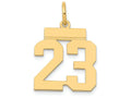 FJC Finejewelers 14k Yellow Gold Small Polished Number 23 Charm