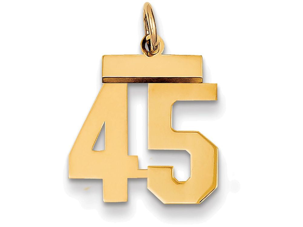 FJC Finejewelers 14k Yellow Gold Small Polished Number 45 Charm
