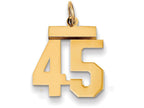 FJC Finejewelers 14k Yellow Gold Small Polished Number 45 Charm