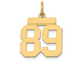 FJC Finejewelers 14k Yellow Gold Small Polished Number 89 Charm