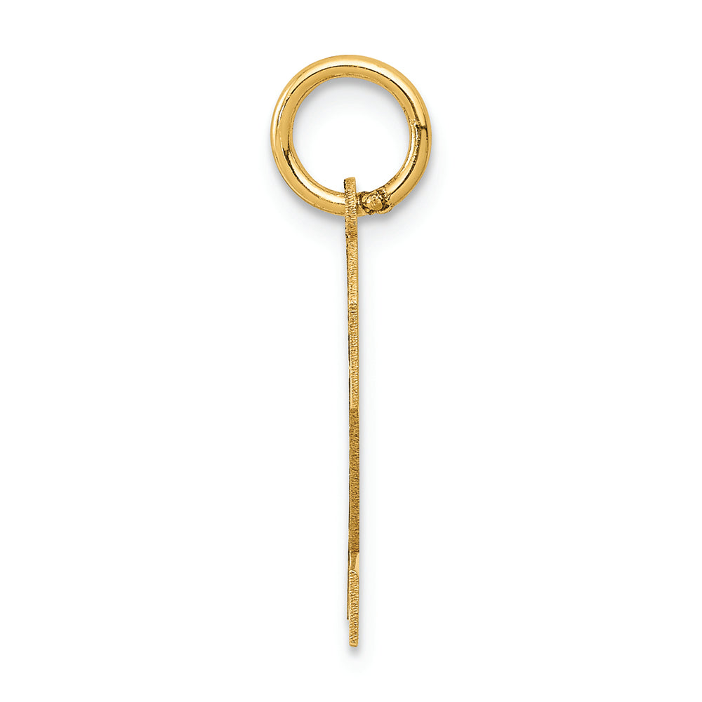 FJC Finejewelers 14k Yellow Gold Medium Satin Number 2 Charm