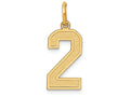 FJC Finejewelers 14k Yellow Gold Medium Satin Number 2 Charm