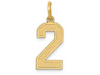FJC Finejewelers 14k Yellow Gold Medium Satin Number 2 Charm