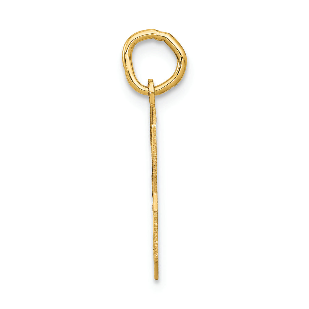 FJC Finejewelers 14k Yellow Gold Medium Satin Number 3 Charm