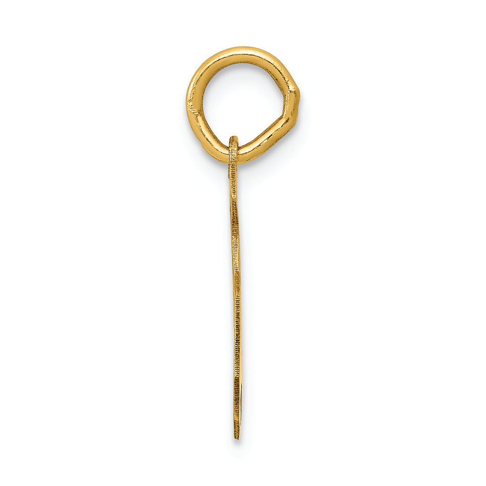 FJC Finejewelers 14k Yellow Gold Medium Satin Number 5 Charm