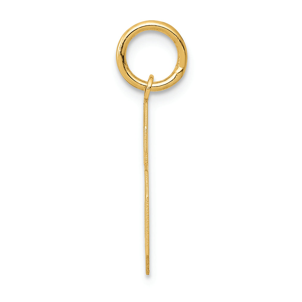 FJC Finejewelers 14k Yellow Gold Medium Satin Number 6 Charm