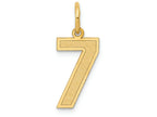 FJC Finejewelers 14k Yellow Gold Medium Satin Number 7 Charm
