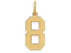 FJC Finejewelers 14k Yellow Gold Medium Satin Number 8 Charm