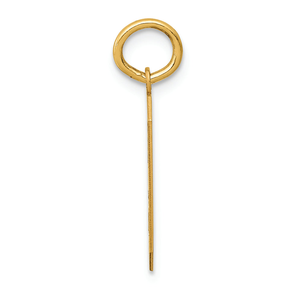 FJC Finejewelers 14k Yellow Gold Medium Satin Number 9 Charm