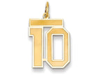 FJC Finejewelers 14k Yellow Gold Medium Satin Number 10 Charm