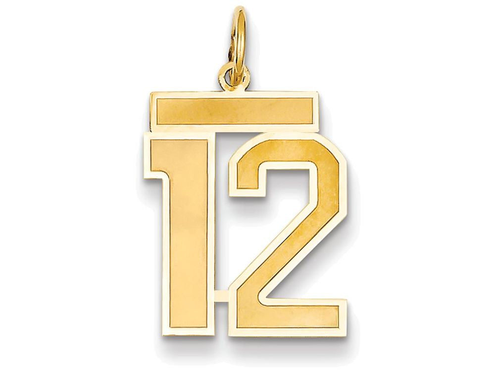 FJC Finejewelers 14k Yellow Gold Medium Satin Number 12 Charm