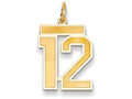 FJC Finejewelers 14k Yellow Gold Medium Satin Number 12 Charm