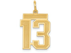 FJC Finejewelers 14k Yellow Gold Medium Satin Number 13 Charm