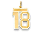 FJC Finejewelers 14k Yellow Gold Medium Satin Number 18 Charm