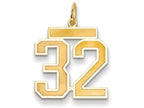 FJC Finejewelers 14k Yellow Gold Medium Satin Number 32 Charm