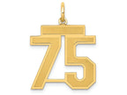 FJC Finejewelers 14k Yellow Gold Medium Satin Number 75 Charm