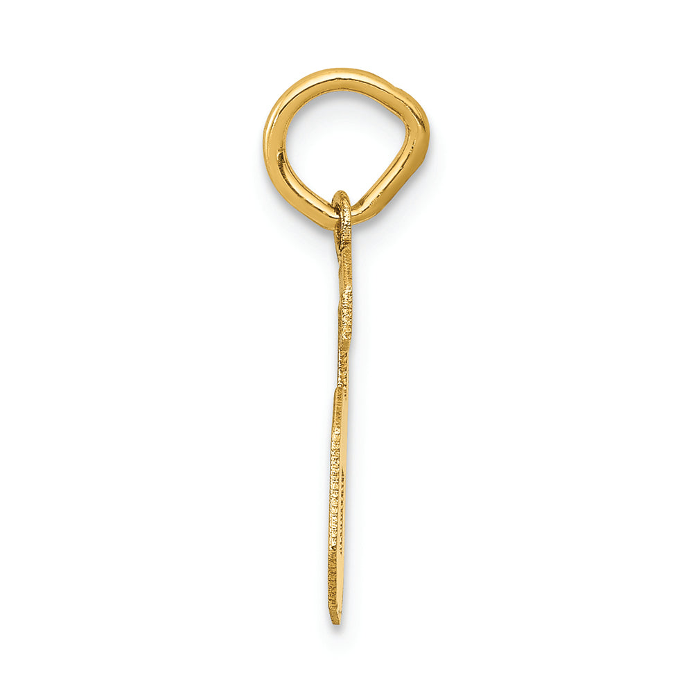 FJC Finejewelers 14k Yellow Gold Small Satin Number 6 Charm