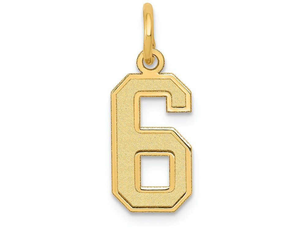 FJC Finejewelers 14k Yellow Gold Small Satin Number 6 Charm