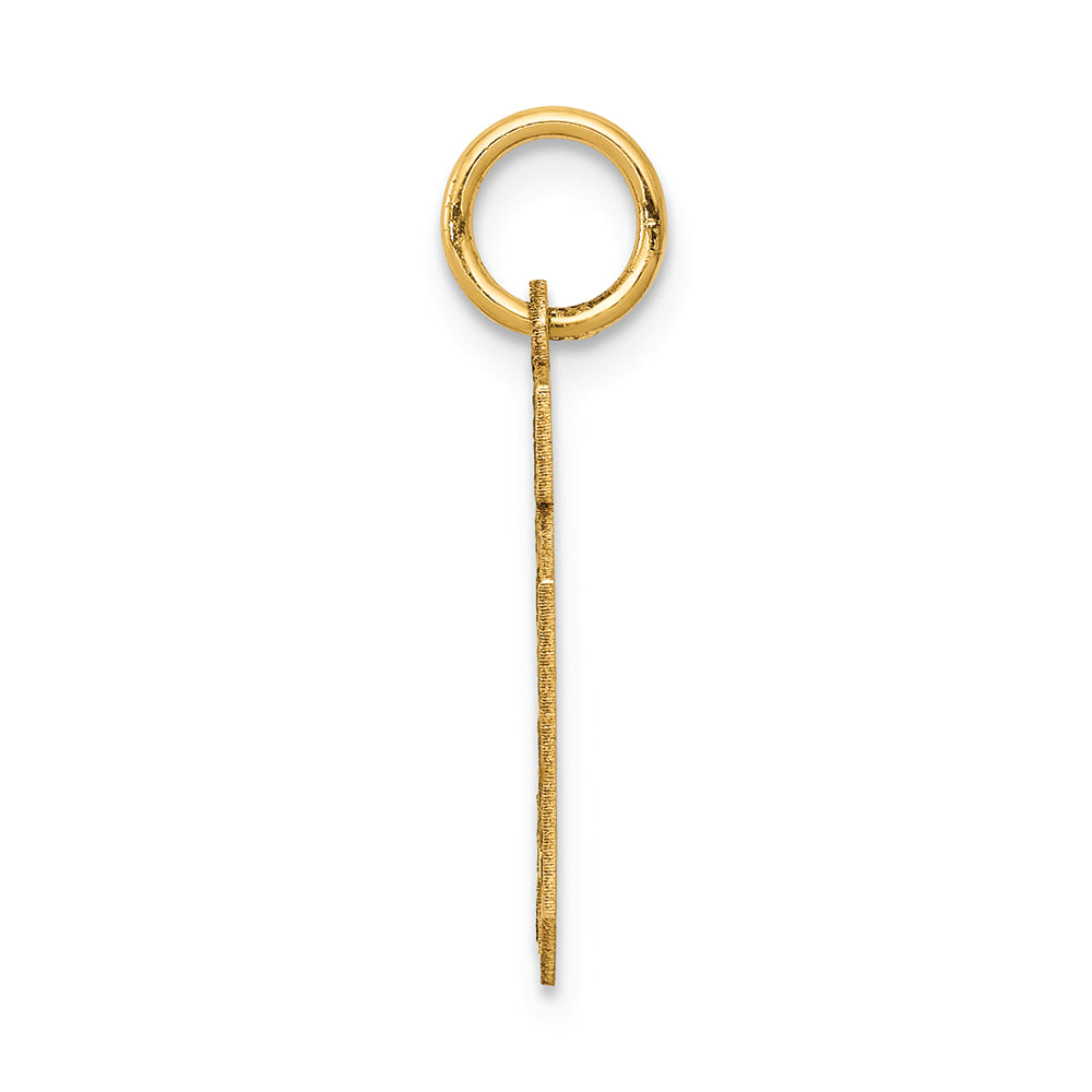 FJC Finejewelers 14k Yellow Gold Small Satin Number 10 Charm