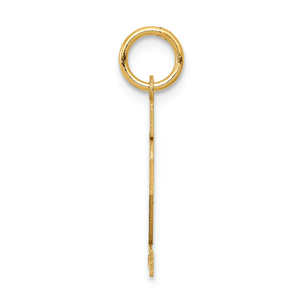 FJC Finejewelers 14k Yellow Gold Small Satin Number 12 Charm