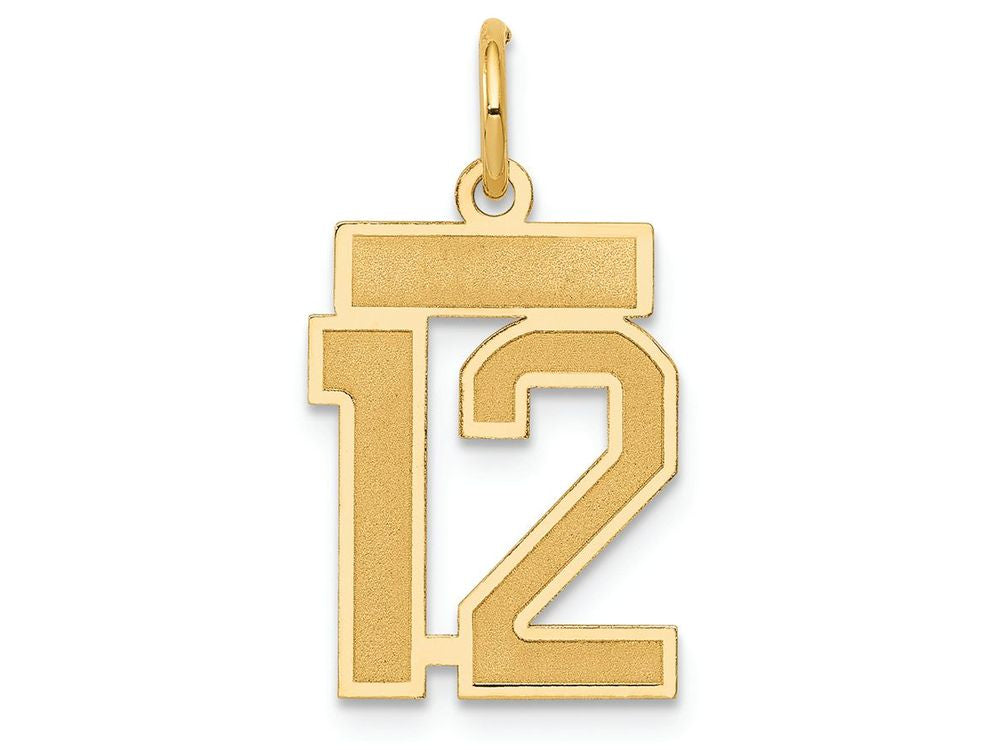 FJC Finejewelers 14k Yellow Gold Small Satin Number 12 Charm