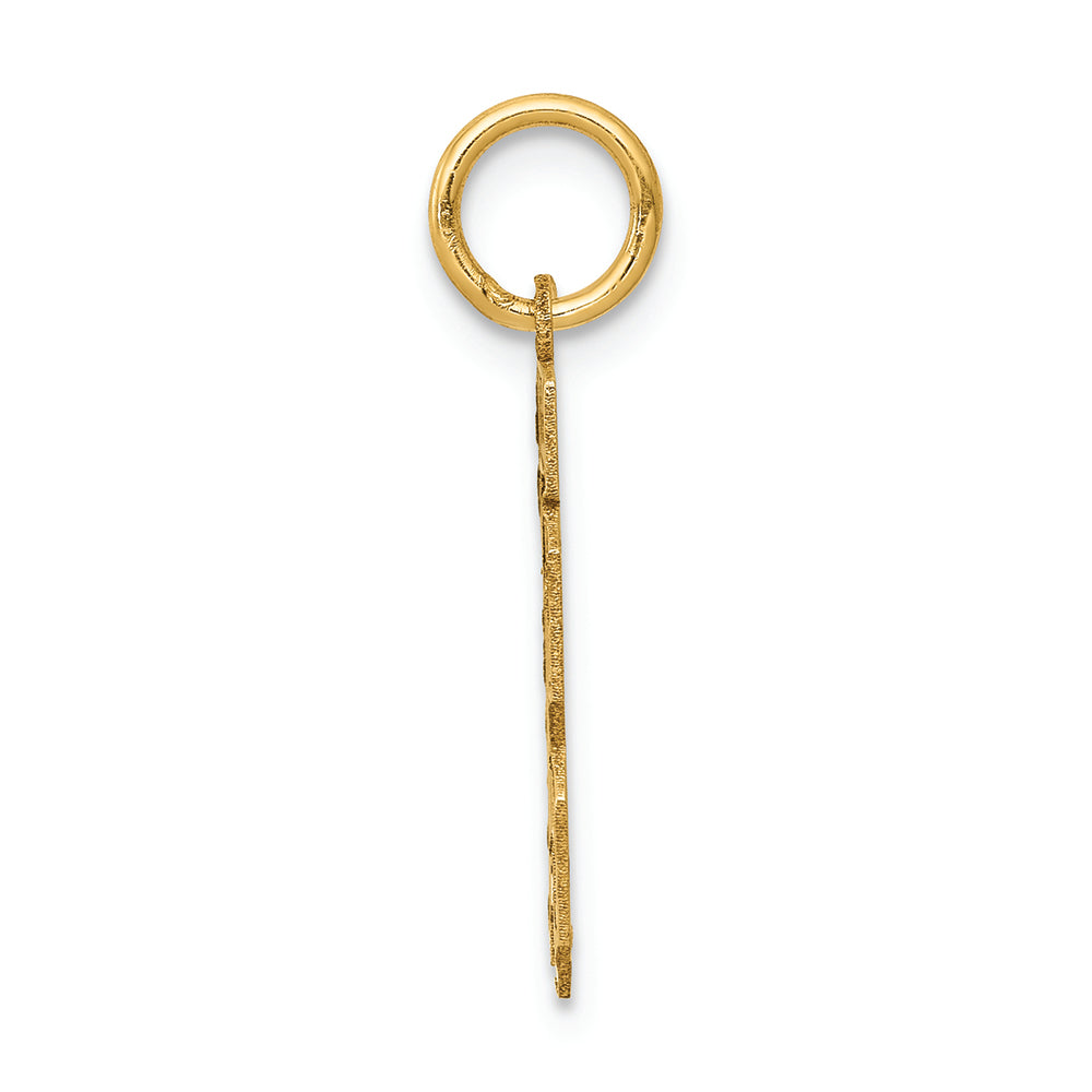 FJC Finejewelers 14k Yellow Gold Small Satin Number 13 Charm