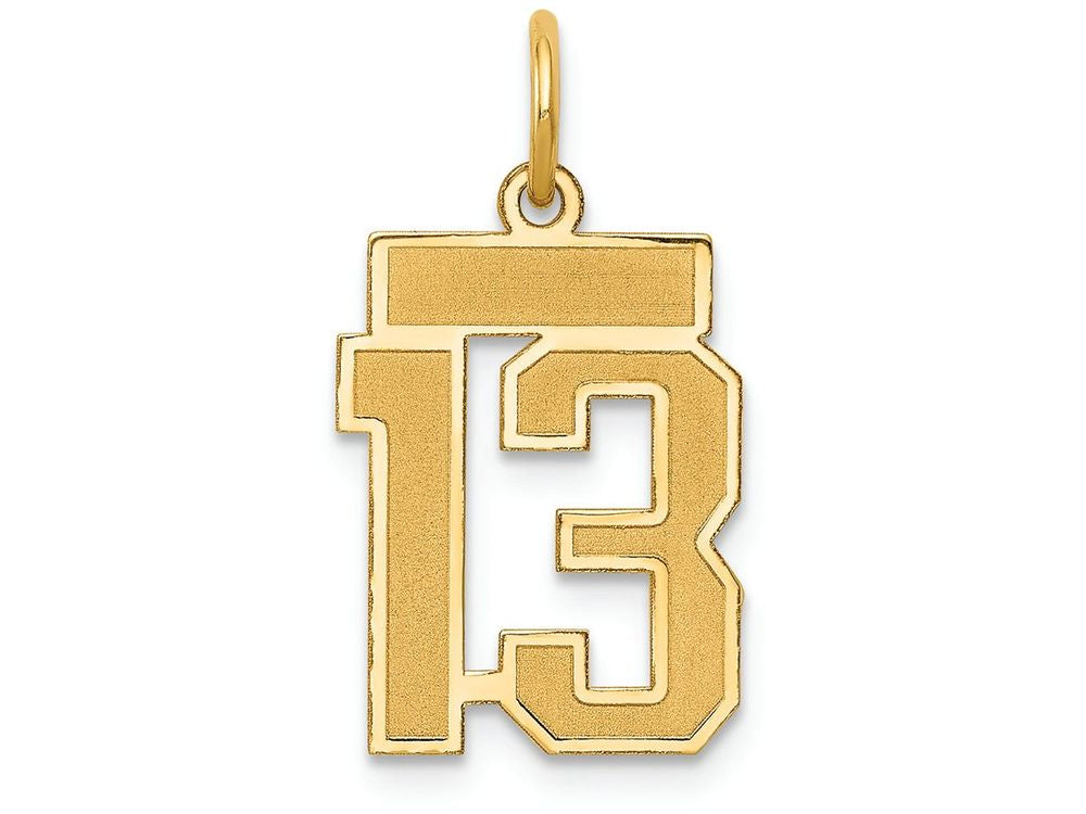 FJC Finejewelers 14k Yellow Gold Small Satin Number 13 Charm