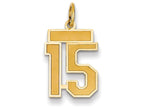 FJC Finejewelers 14k Yellow Gold Small Satin Number 15 Charm