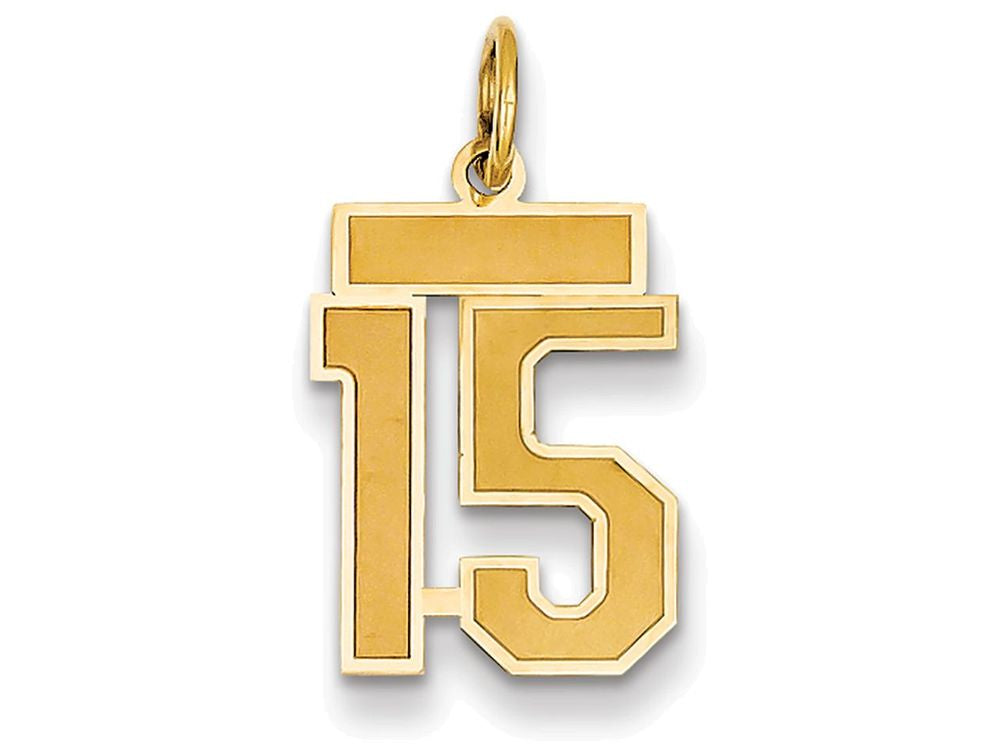 FJC Finejewelers 14k Yellow Gold Small Satin Number 15 Charm