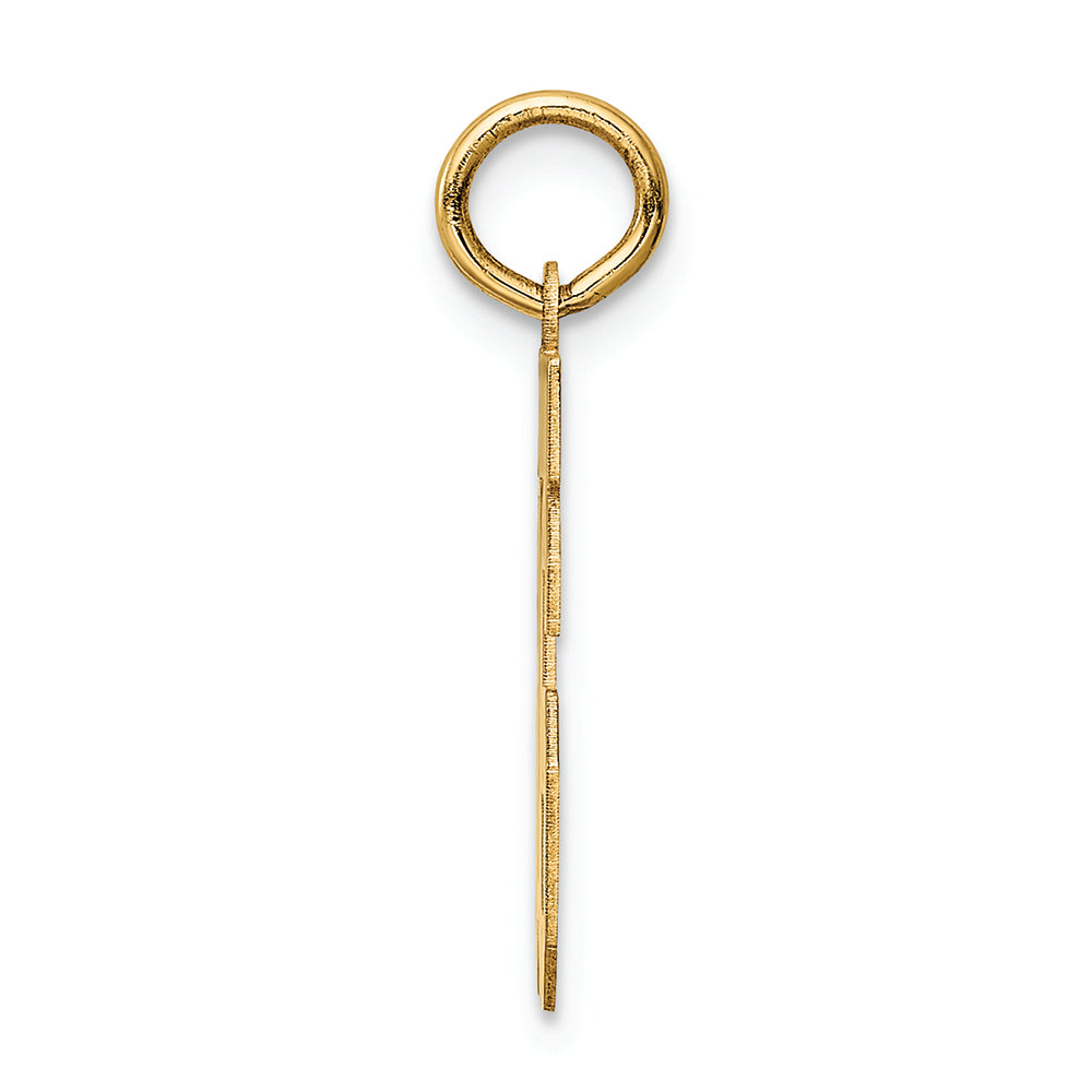 FJC Finejewelers 14k Yellow Gold Small Satin Number 16 Charm