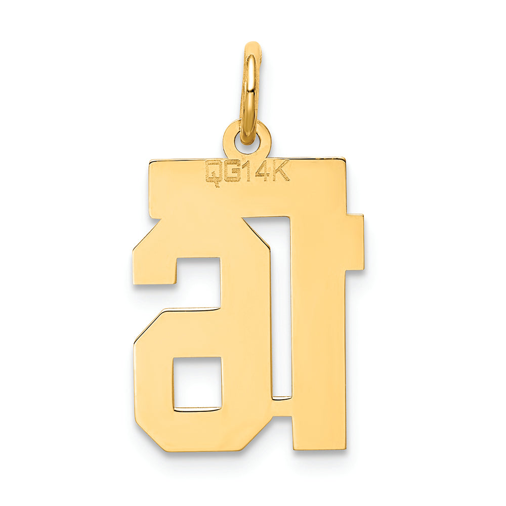 FJC Finejewelers 14k Yellow Gold Small Satin Number 16 Charm