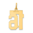 FJC Finejewelers 14k Yellow Gold Small Satin Number 16 Charm