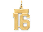 FJC Finejewelers 14k Yellow Gold Small Satin Number 16 Charm