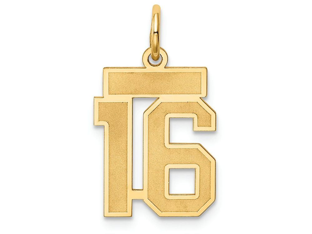 FJC Finejewelers 14k Yellow Gold Small Satin Number 16 Charm
