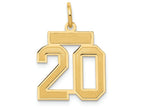 FJC Finejewelers 14k Yellow Gold Small Satin Number 20 Charm