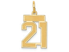 FJC Finejewelers 14k Yellow Gold Small Satin Number 21 Charm