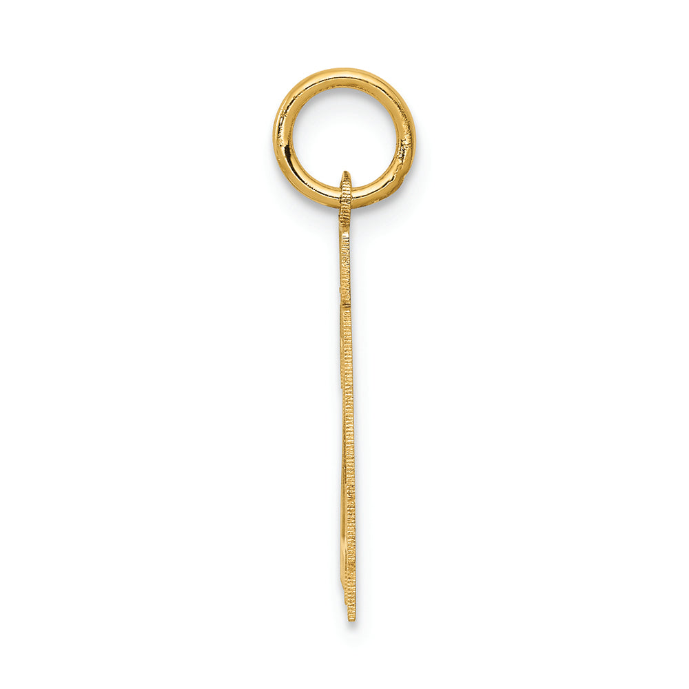 FJC Finejewelers 14k Yellow Gold Small Satin Number 24 Charm