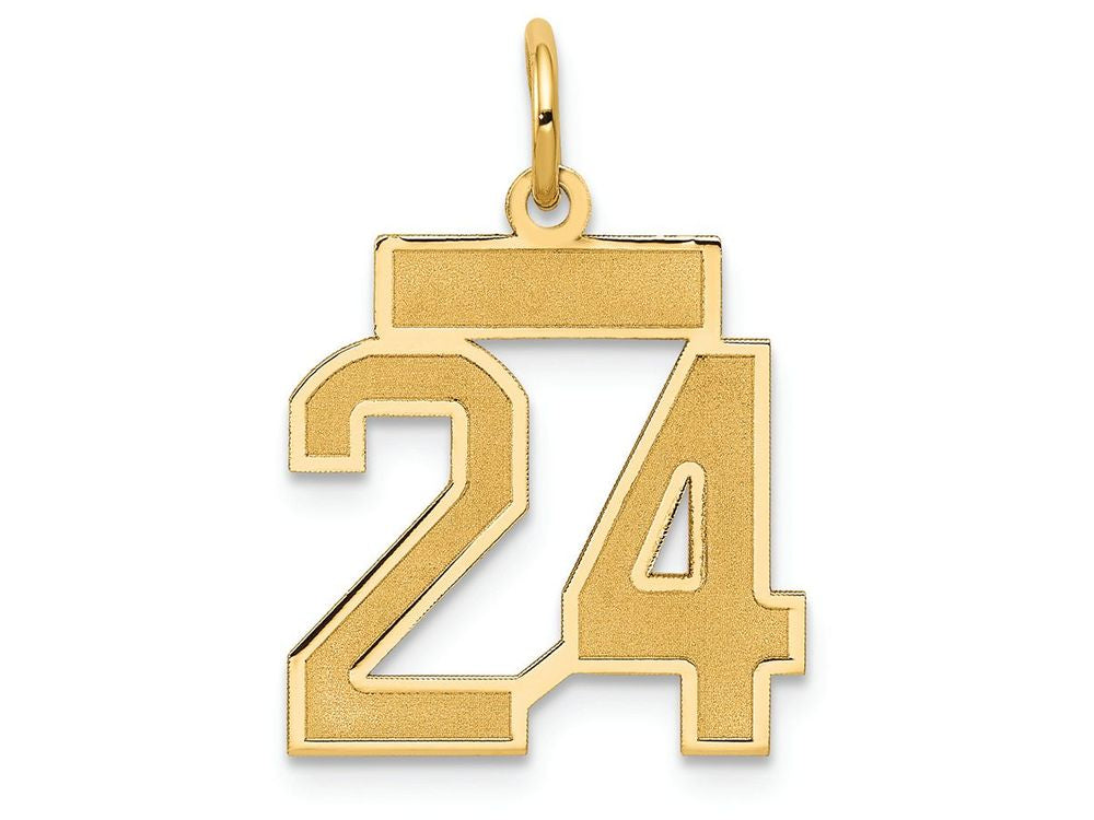 FJC Finejewelers 14k Yellow Gold Small Satin Number 24 Charm