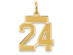 FJC Finejewelers 14k Yellow Gold Small Satin Number 24 Charm