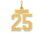 FJC Finejewelers 14k Yellow Gold Small Satin Number 25 Charm
