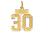 FJC Finejewelers 14k Yellow Gold Small Satin Number 30 Charm
