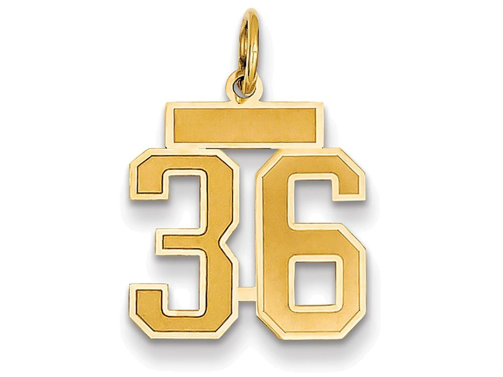 FJC Finejewelers 14k Yellow Gold Small Satin Number 36 Charm