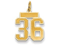 FJC Finejewelers 14k Yellow Gold Small Satin Number 36 Charm