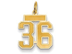 FJC Finejewelers 14k Yellow Gold Small Satin Number 36 Charm