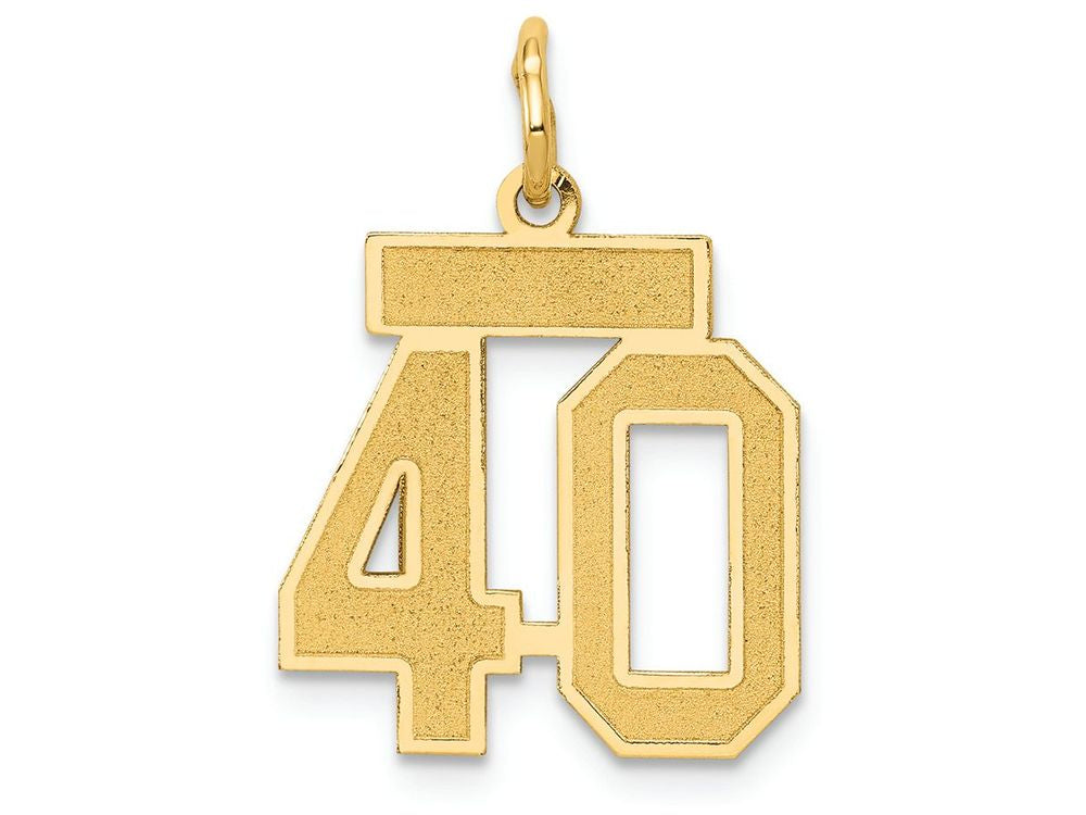FJC Finejewelers 14k Yellow Gold Small Satin Number 40 Charm